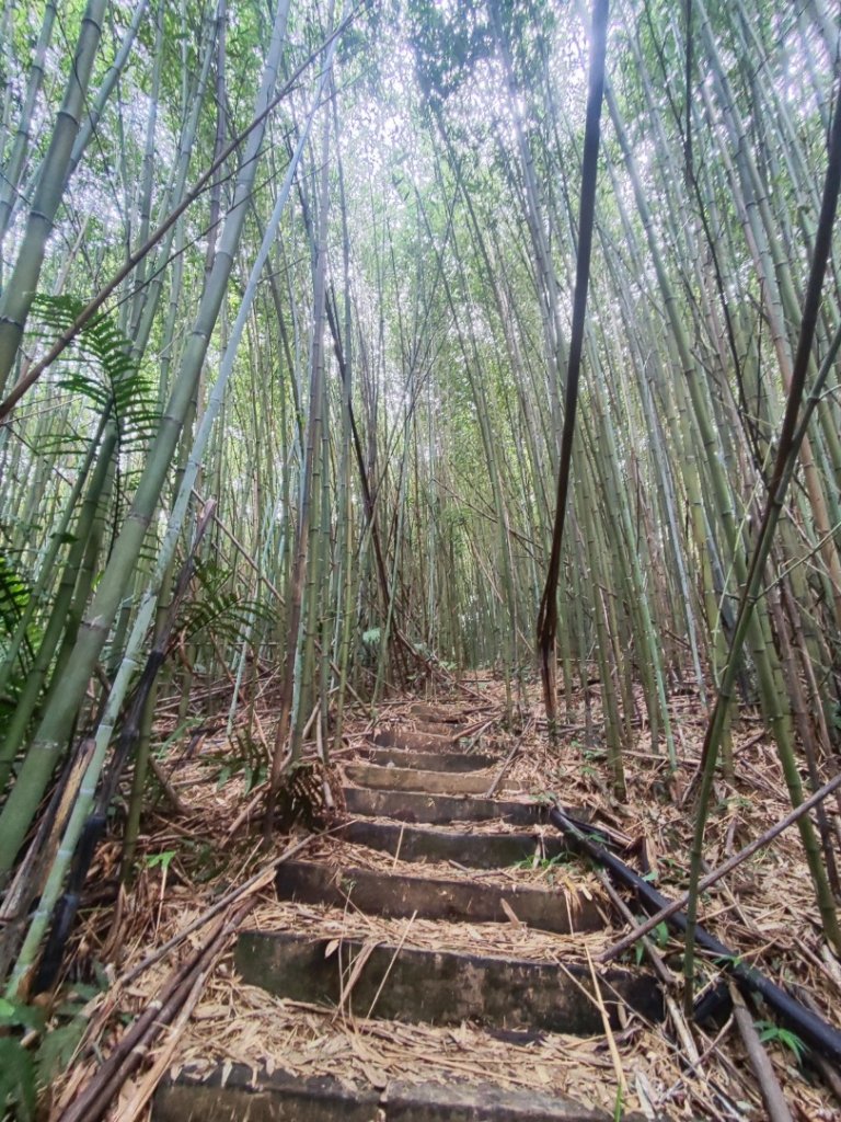 微笑山線之望月亭段_2849017