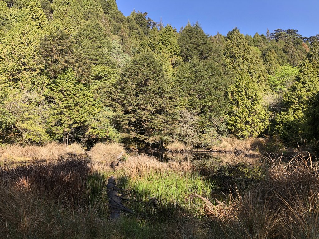 散落的珍珠-加羅湖_1387428