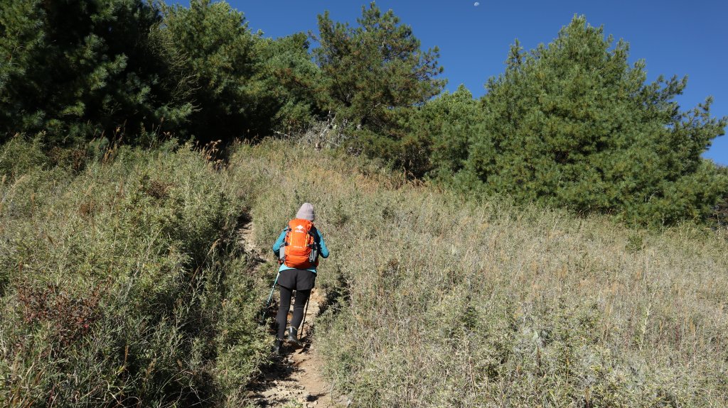 志佳陽大山登山健行趣(百岳47號)_1922482