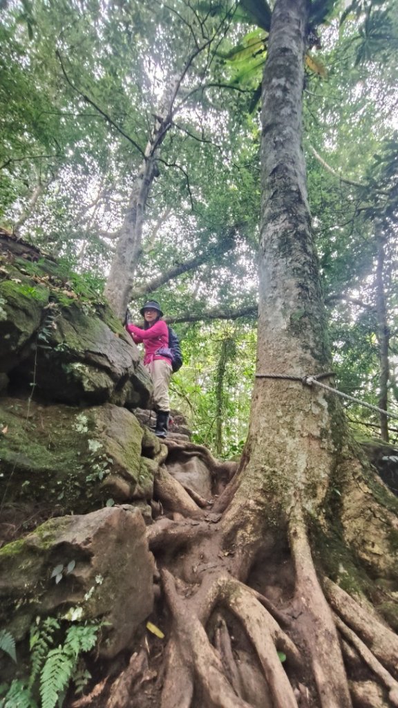 五指山走春_3009591