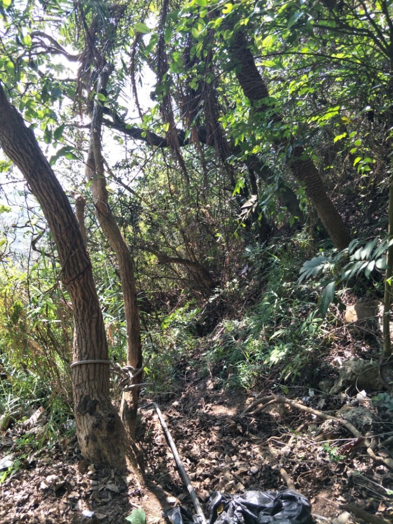 小百岳:南壽山十(海岸+少女峰+壽山+仙女山)_1620868