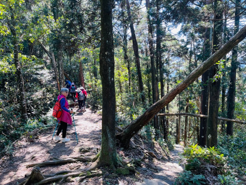 1140319仙山-仙山南峰_2738228