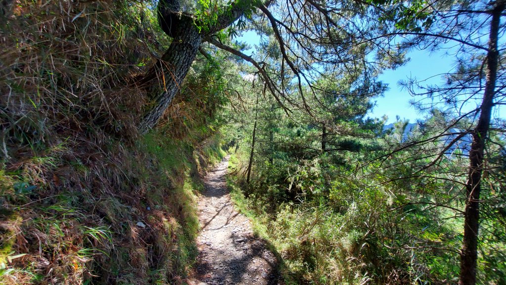 玉山主峰_1105128