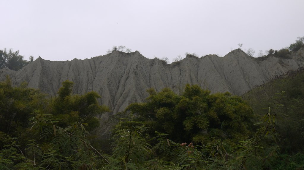 田寮月世界登山健行趣(步道)_1602509