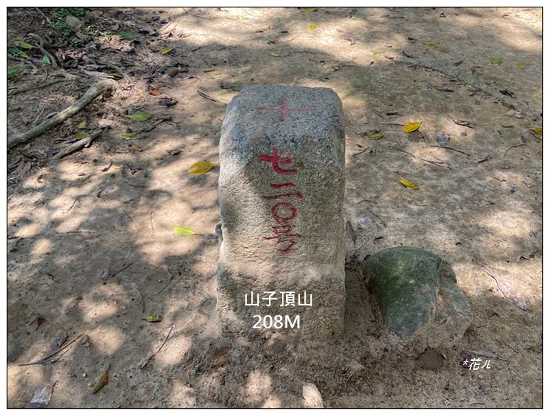 山子頂山 (桃園、龜山)封面圖