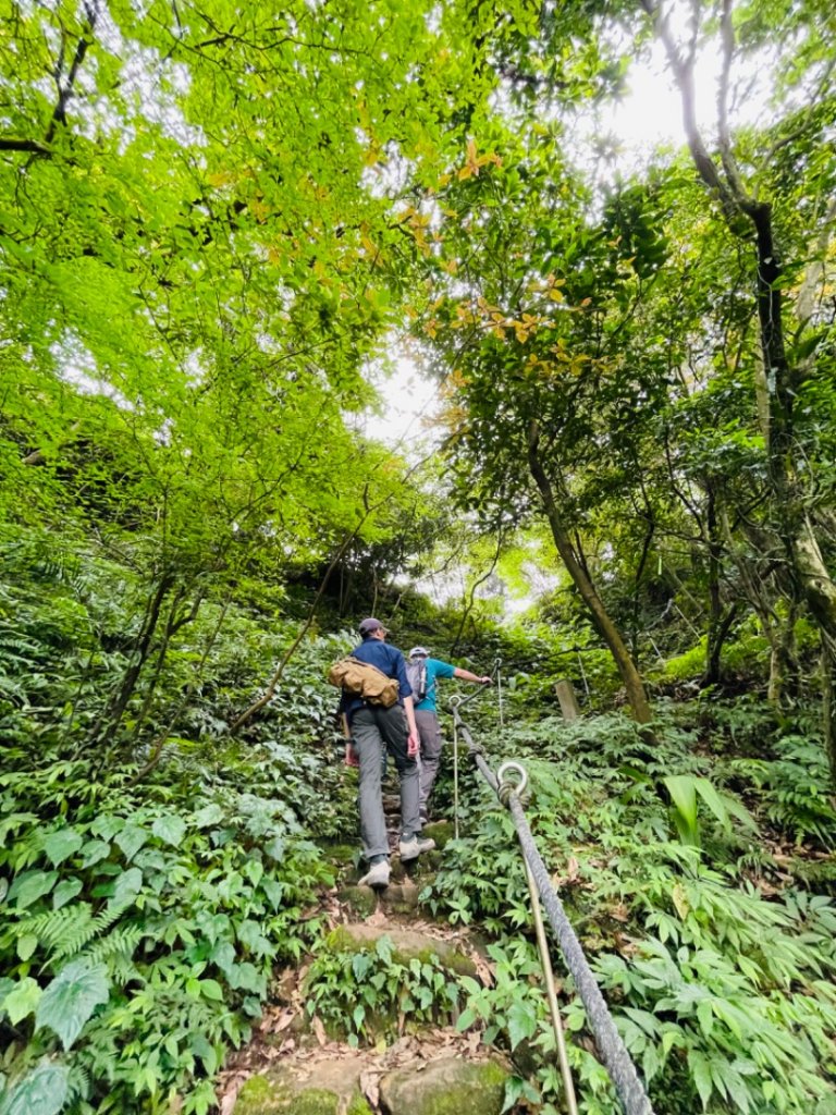 淡蘭中路（暖暖車站-十分車站）_1685461