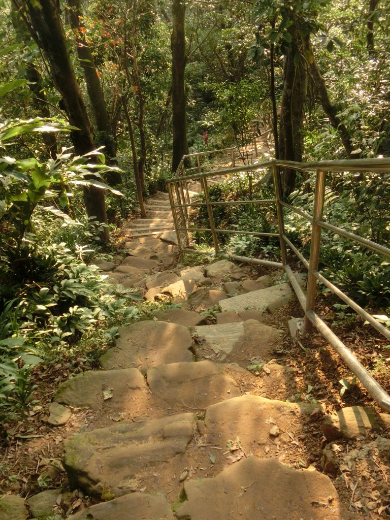 南勢角山．青春嶺_231927