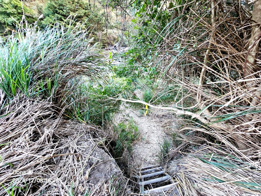 追趕跑跳蹦的羅馬縱走_2666280