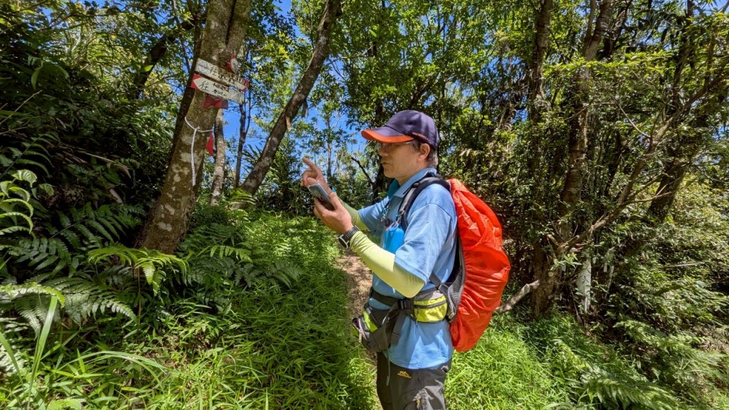 114.06.28內平林山-番子坑山-平湖森林遊樂區之O型_2824218