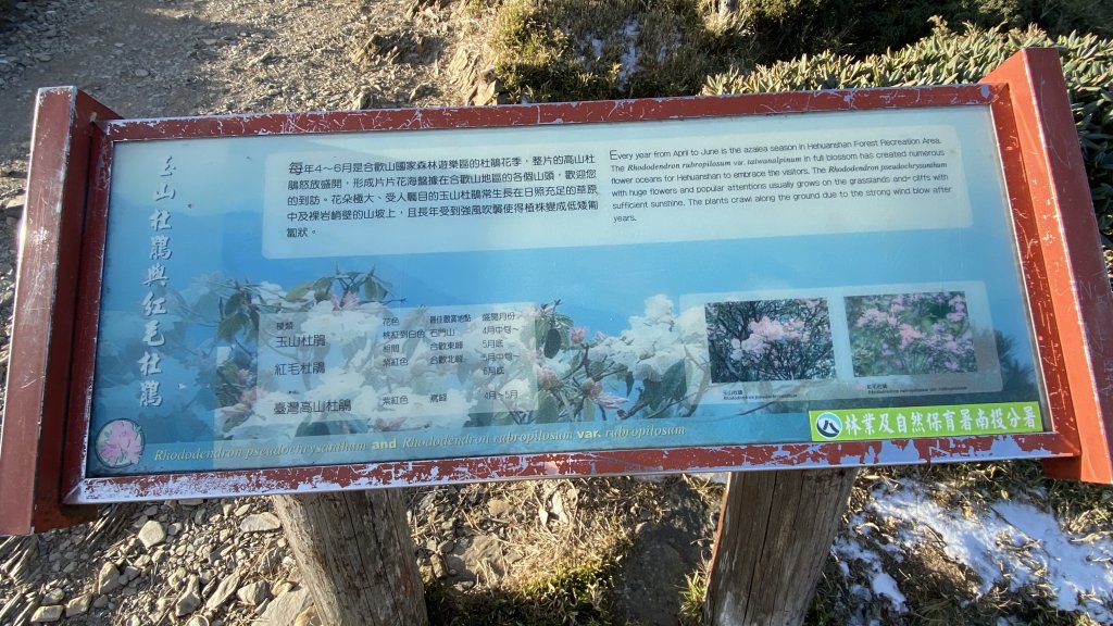 合歡東峰看日出|Mt. Hehuan East Peak|松雪樓|峯花雪月_2389775