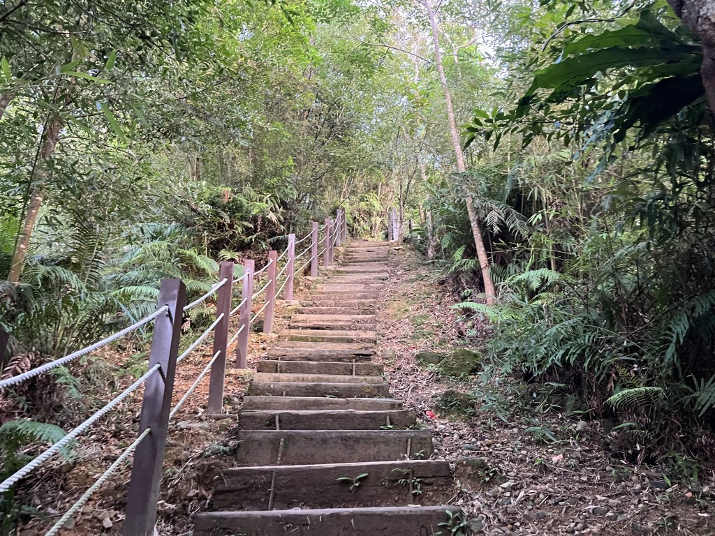 [微笑山線_第六段] 2025_0807 二格山系_和美山螢火蟲段_2854642