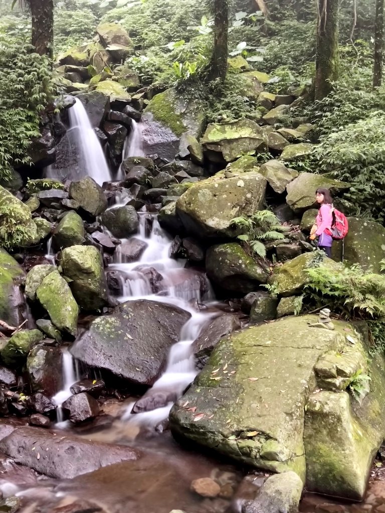 陽明山鹿角坑生態保護區 20240413_2481662