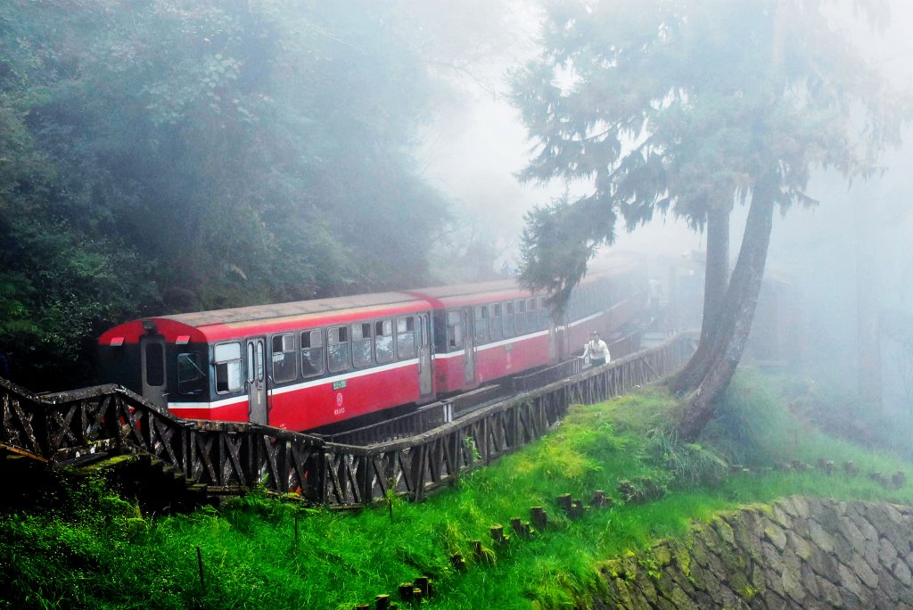 20221018公車旅人阿里山手扎:_1141980