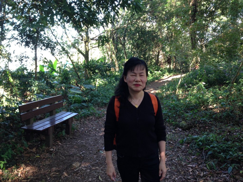 四訪苗栗的花果山-小百岳#037馬那邦山、雪霸國家公園管理處【小百岳集起來、苗栗-臺灣百大必訪步道】_2394291