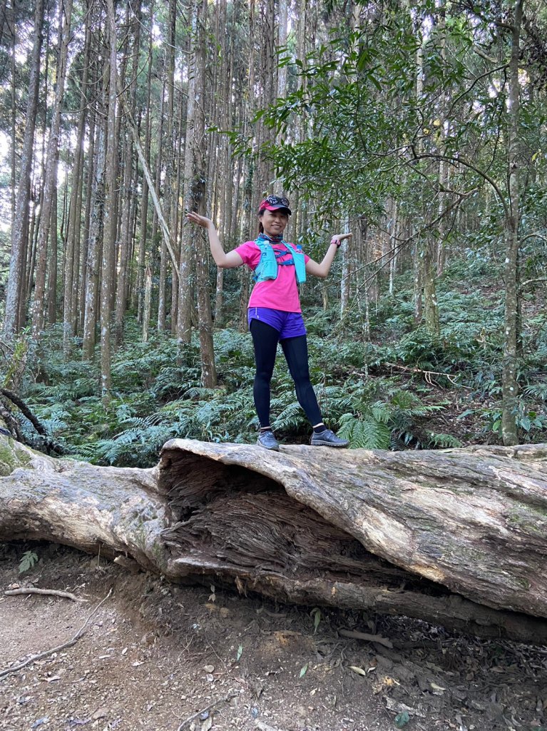 高島縱走_1921388