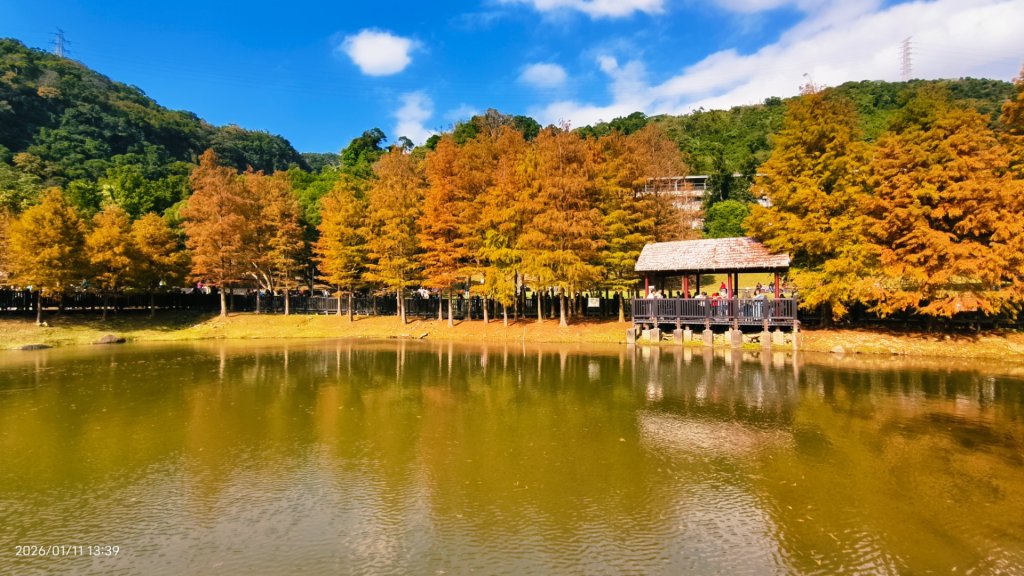 #花卉試驗中心 #永公路500巷 #平菁街42巷 #原住民公園 #士林官邸 1/4_2980358