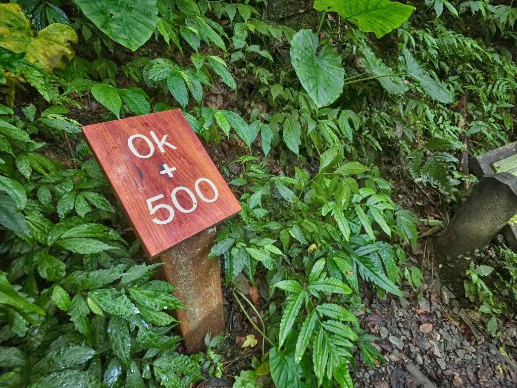 擁有小太魯閣之稱的林美石磐步道_656491