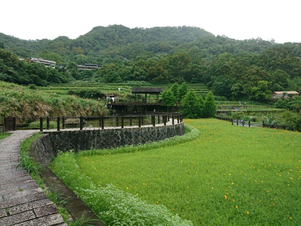 貓空樟樹步道 2017.05.21_139506