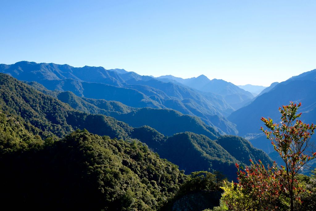 東卯山：東南稜晨曦_405758