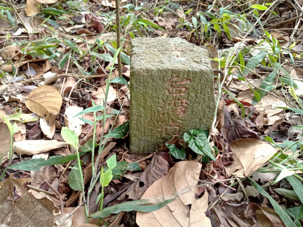 20220226台中和平尾文坑山、三叉坑山、穿龍山、大湖桶山基石_1619039