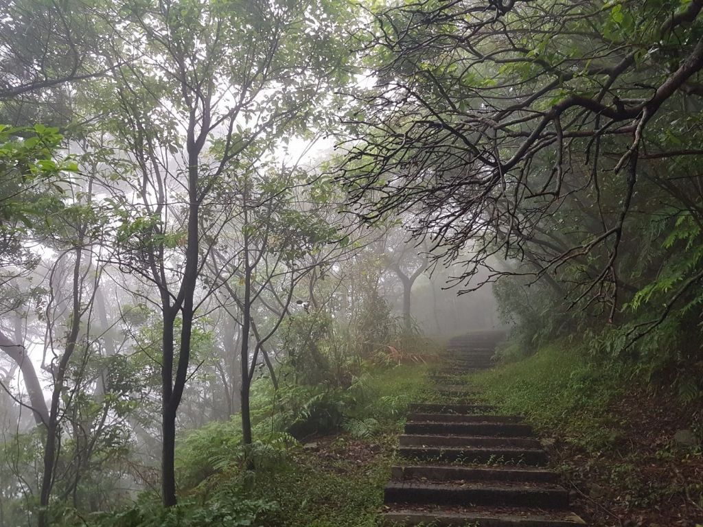 迷霧中的貂山古道_202197