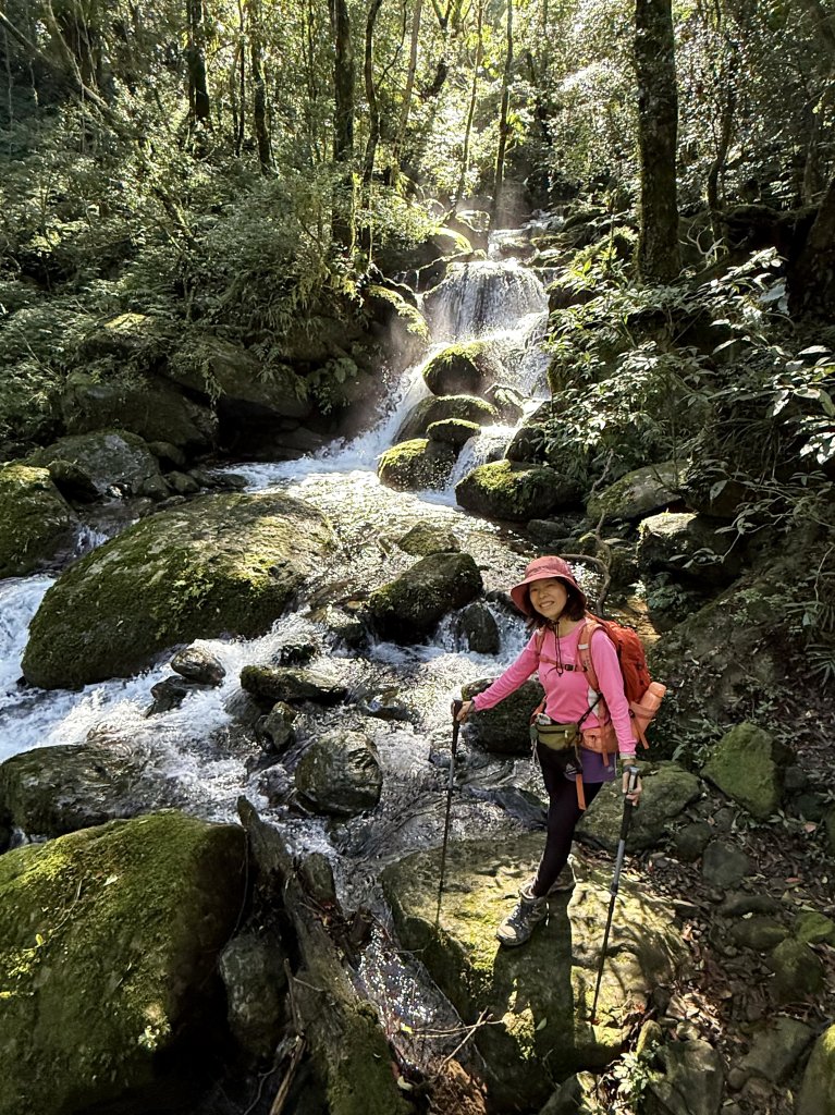 山毛櫸掉光光的 卡保逐鹿O繞 20251115_2937456