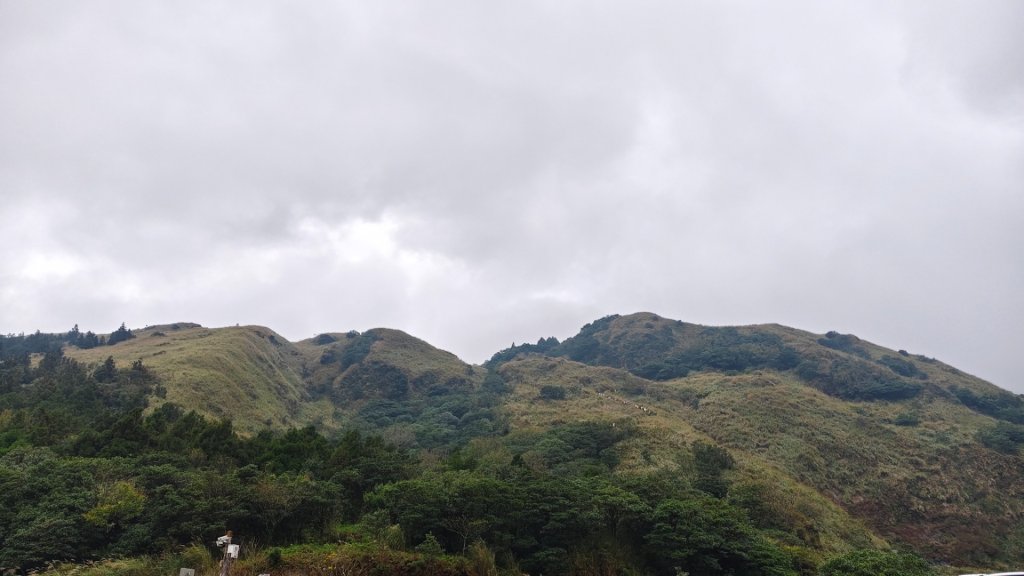 陽明山輕鬆走封面圖