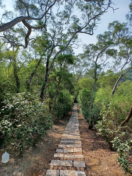 【苗栗造橋】適合親子悠閒踏青。劍潭古道_2533439