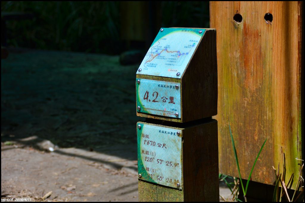 日月潭。翱翔 鷹的視野 ~ 水社大山_310702