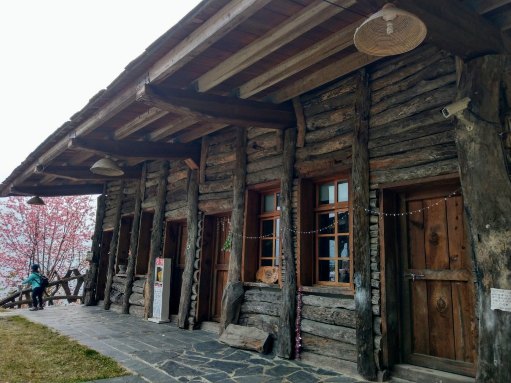 司馬庫斯賞櫻花+巨木群登山步道_845224