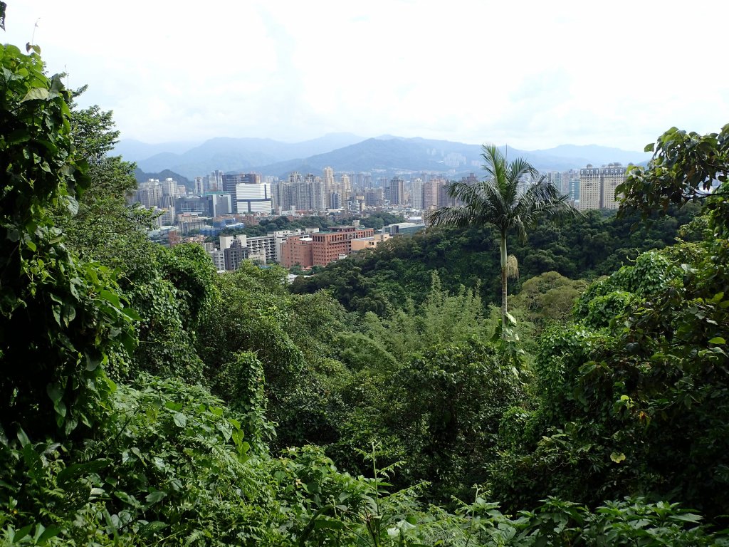 訪仙跡岩, 尋找神仙落腳的痕跡!_1740816