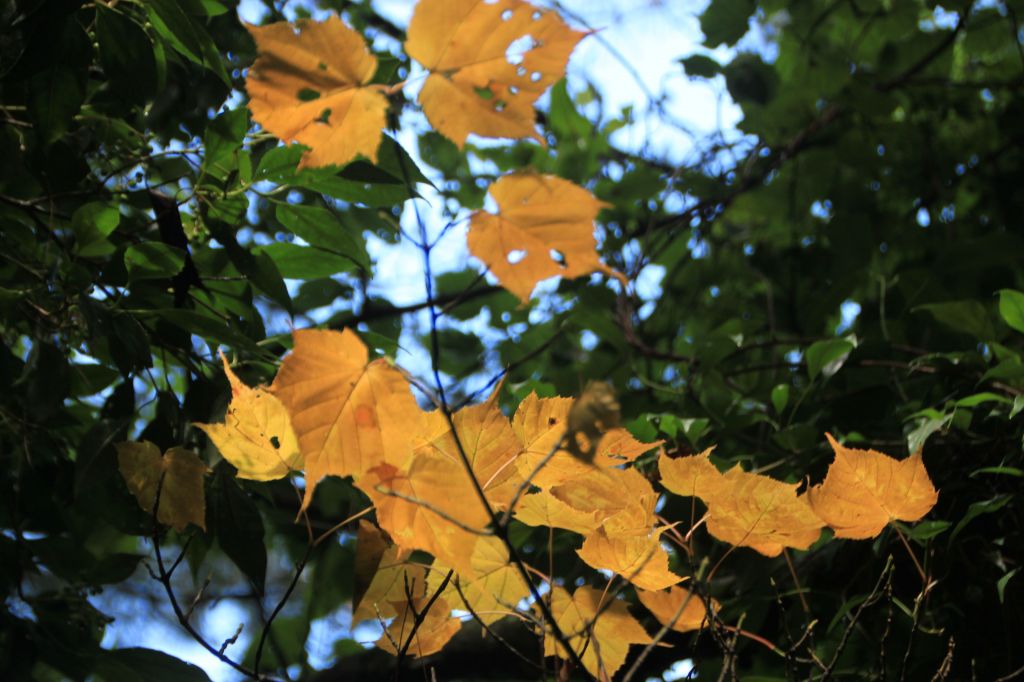 2014北一段_137924