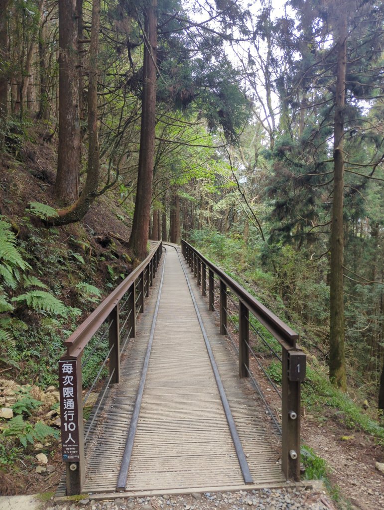 2026.02.14－特富野古道_3013693