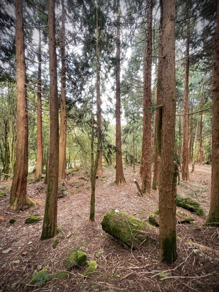 石山秀湖 2025 02/28～03/02_2729474