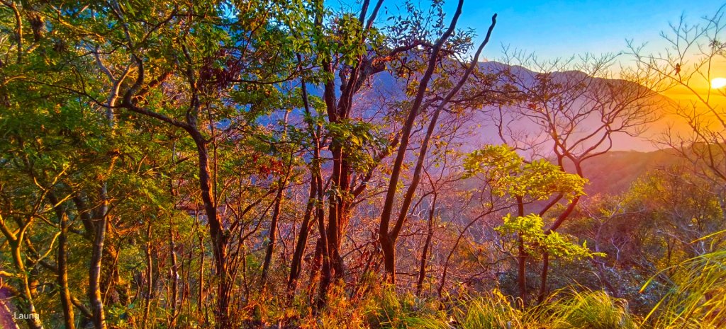 111.12.18 虎山-加里山-虎山（虎加虎縱走）_1959099