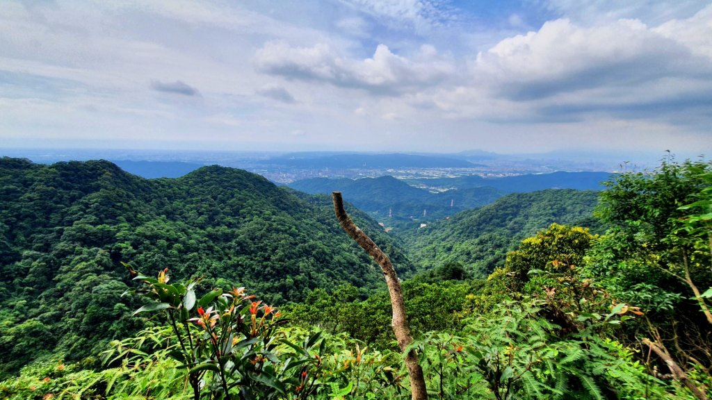 北投大砲岩，石壇山，三芝大屯溪古道，三板橋，三峽白雞山，雞罩山，石門內尖山，中和外員山，中坑山東北峰_1738237