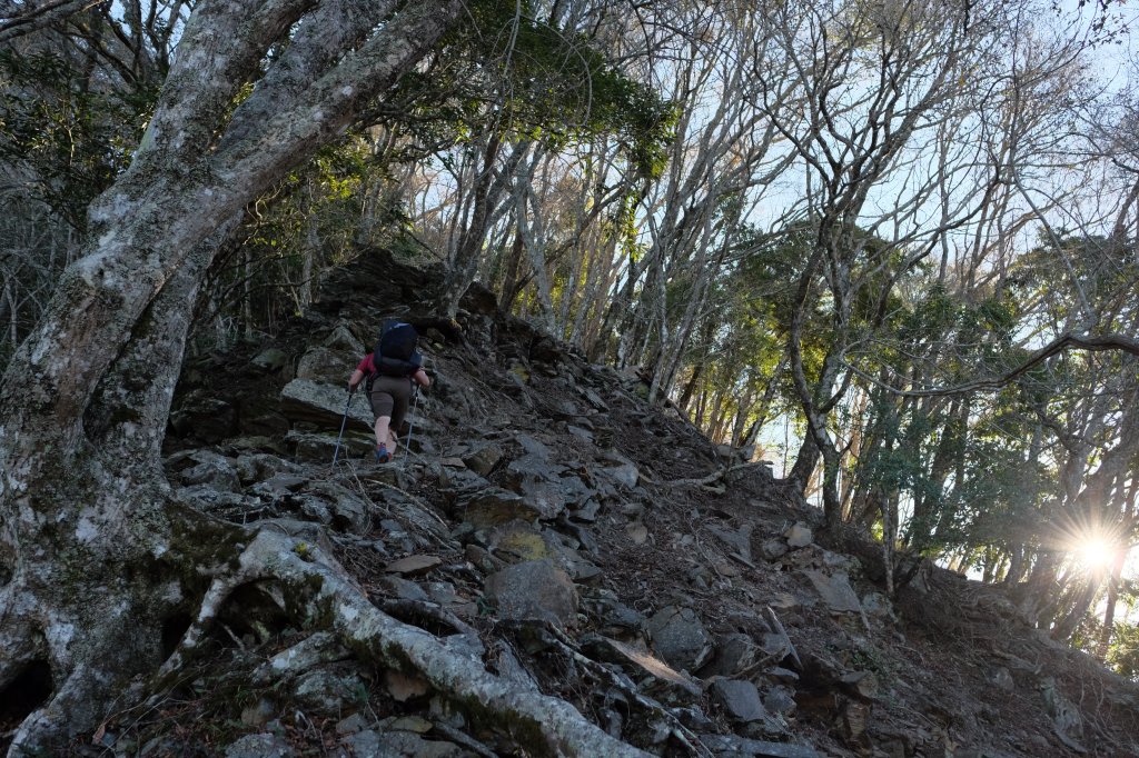 郡大山列 | 郡大西南稜順訪龍貓公車下對關出東埔_2426021