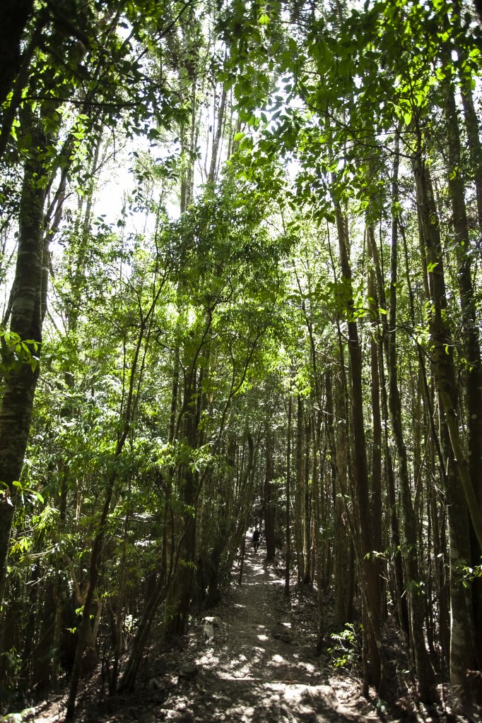 2023.03.10 八仙山_2072788