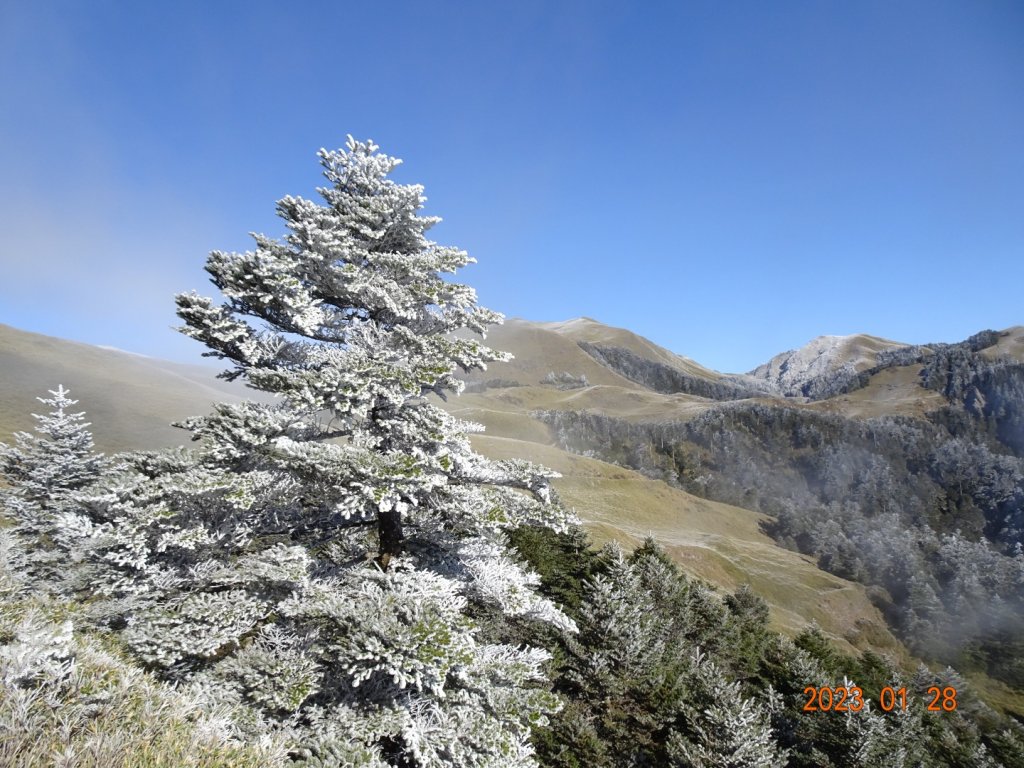 白色南華山_2019739