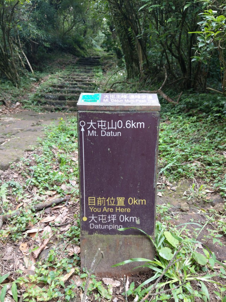 鞍部-大屯山-清天宮-貴子坑縱走_675435