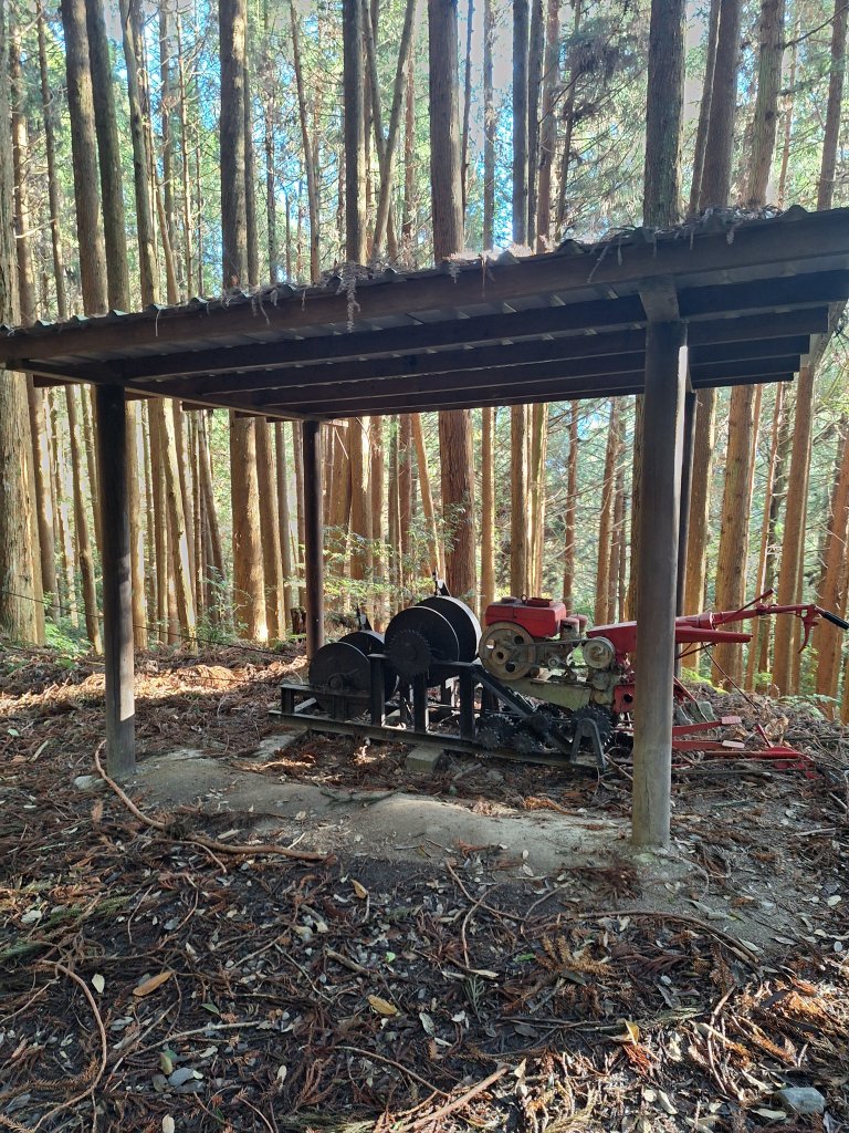 觀霧之榛山O型20241123_2653882