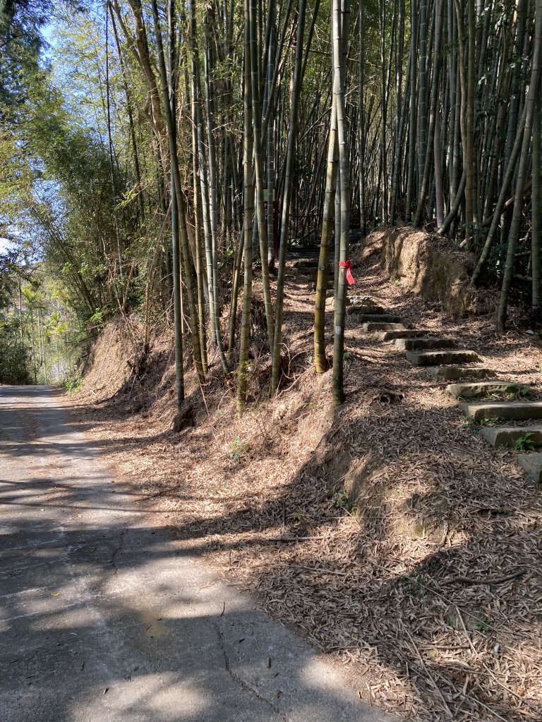 20260217[公車]月眉山+海鼠山+奮瑞古道_3001657