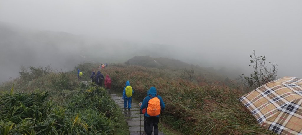桃源谷，草嶺古道縱走_1902824
