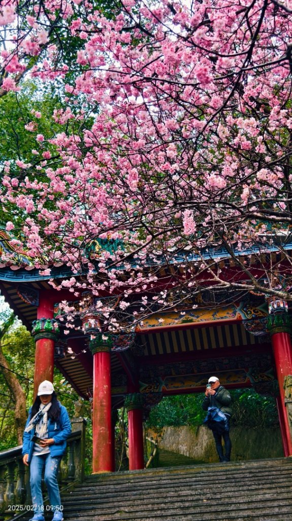 內湖碧山巖 2/18_2714849