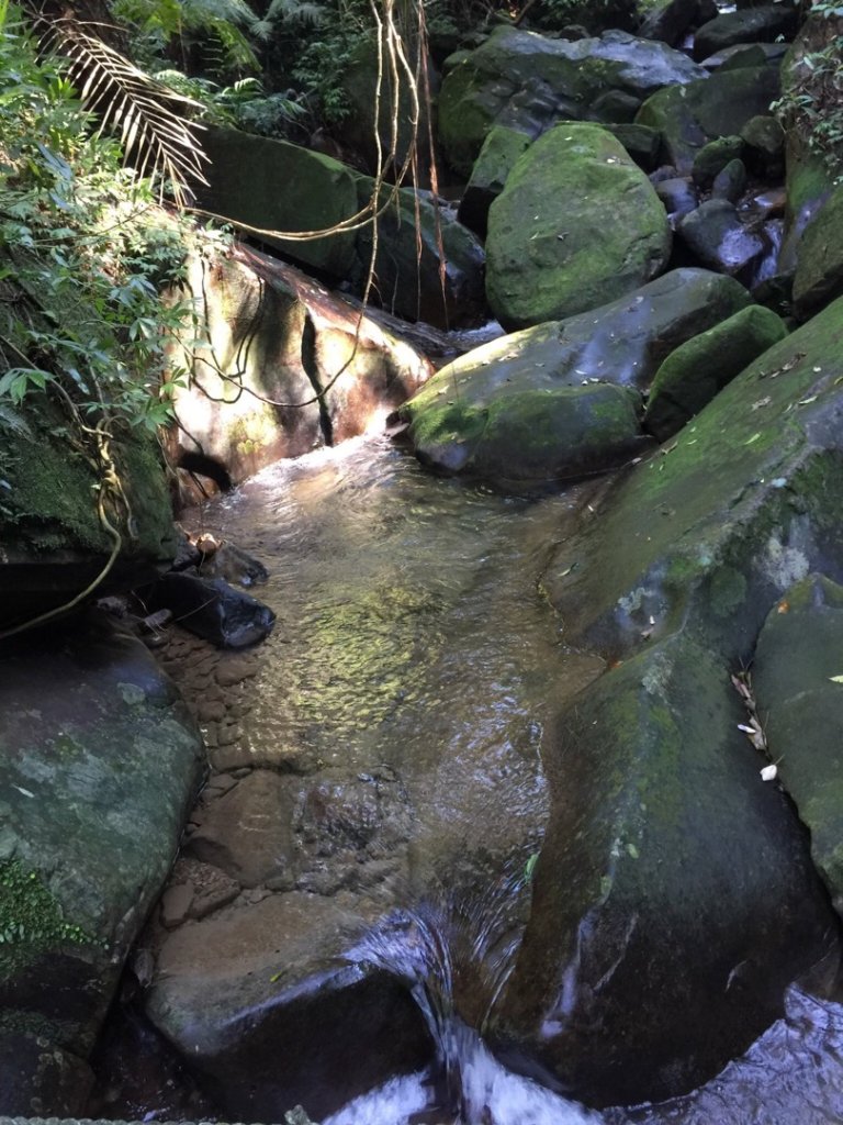 20180207荖寮坑_879855