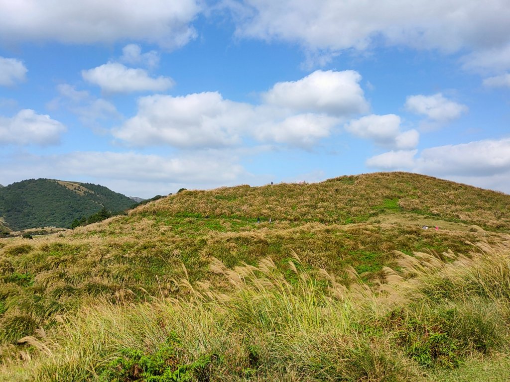 ［擎天崗環形步道］［頂山石梯嶺步道］封面圖