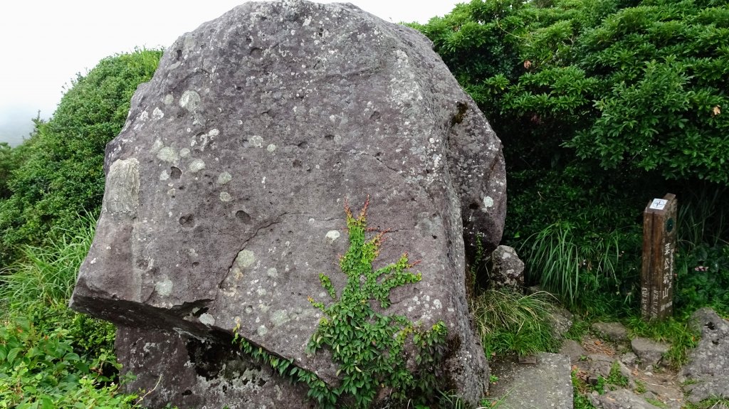 枕頭山(巴拉卡山,菜公坑山)封面圖