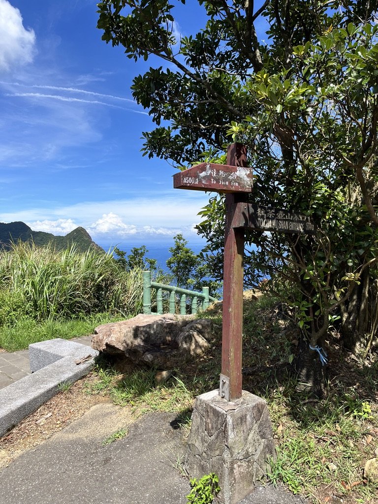 20240905無耳茶壺山_2755938