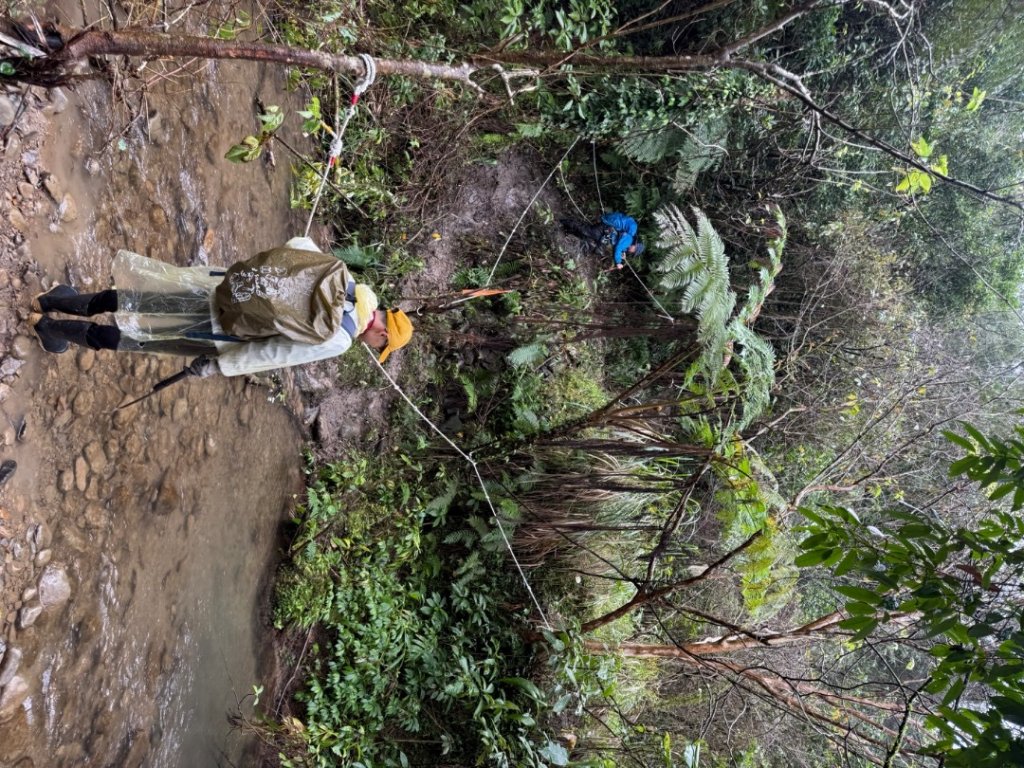 三林一后一紙及武山煤礦文化遺址8字行_2991119
