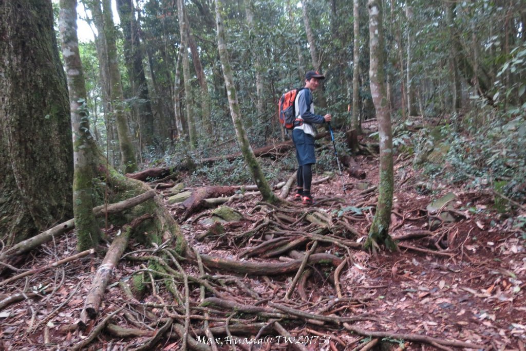 《台中》谷關七雄｜初登屋我尾山20170319_2890442